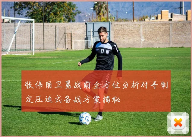张伟丽卫冕战前全方位分析对手制定压迫式备战方案揭秘
