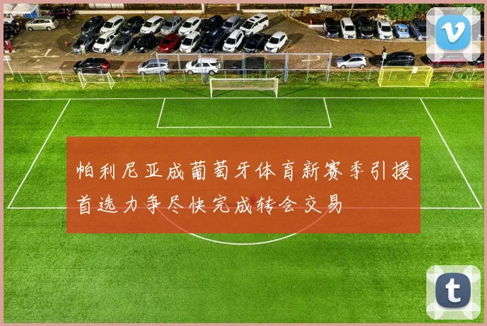 帕利尼亚成葡萄牙体育新赛季引援首选力争尽快完成转会交易